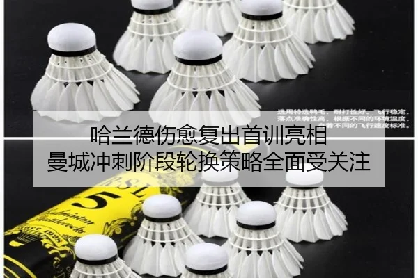 哈兰德伤愈复出首训亮相 曼城冲刺阶段轮换策略全面受关注