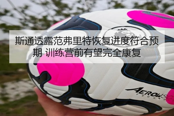 斯通透露范弗里特恢复进度符合预期 训练营前有望完全康复